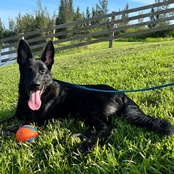 👉PLEASE LIKE AND SHARE NEW GAME! 😊🥰🎉 - Picture 10 of 16